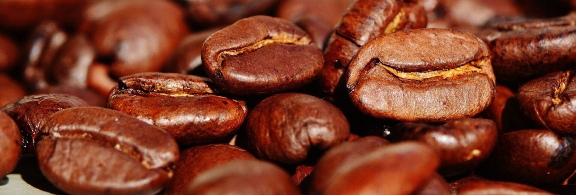 graines de café